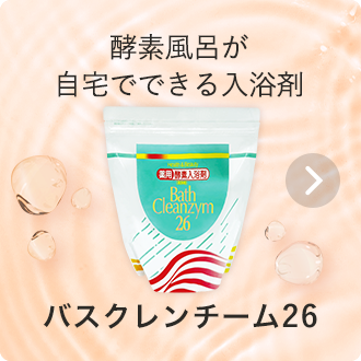 バスクレンチーム26