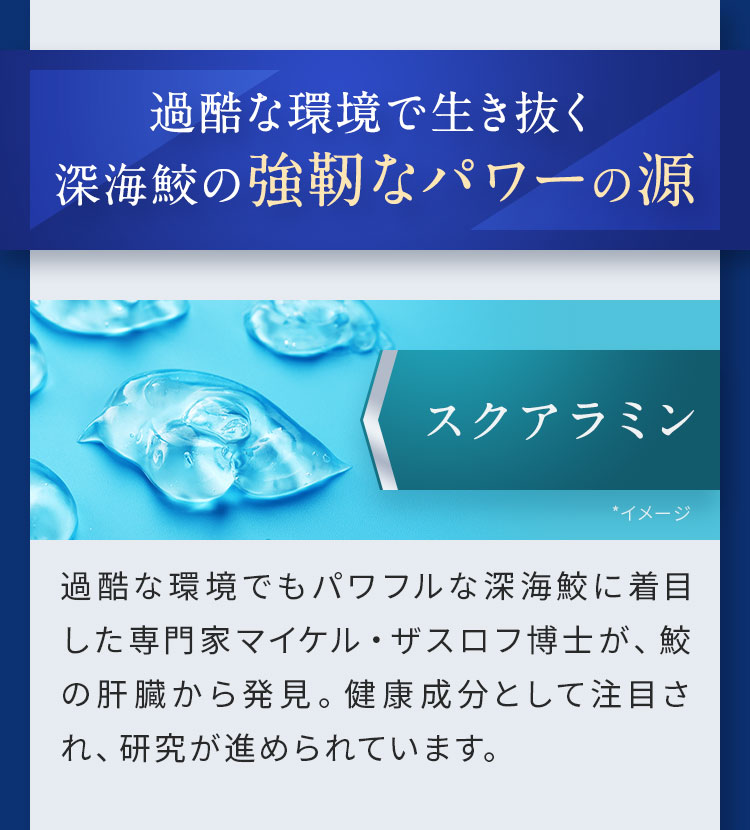 深海鮫で強靭なパワーの源