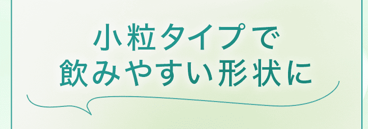 小粒タイプで