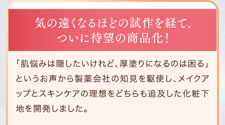気の遠くなるほどの試作を経て、ついに待望の商品化！