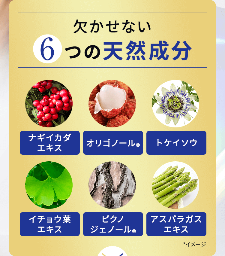 欠かせない6つの天然成分