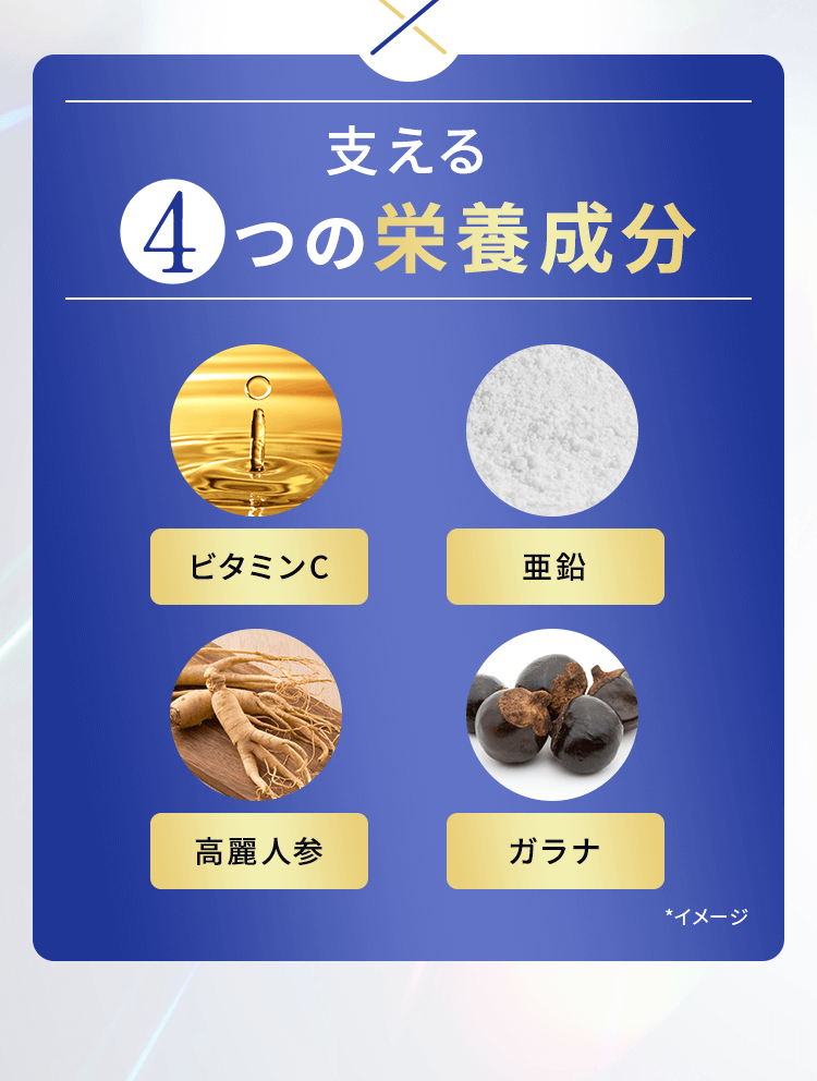 支える4つの栄養成分