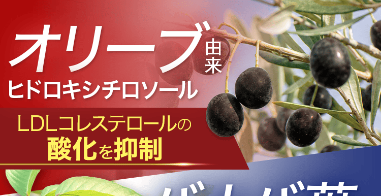 酸化を抑制