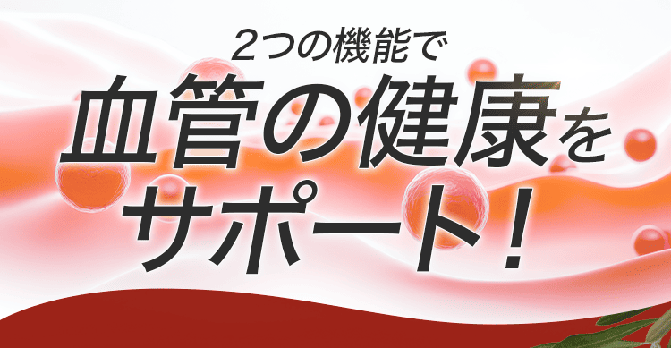 2つの機能で血管をサポート