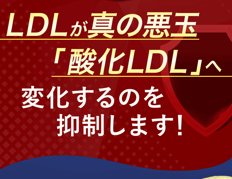 酸化LDLへ変化を抑制