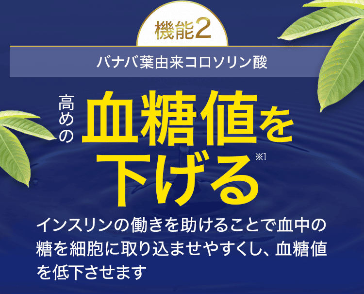 機能2血糖値を下げる