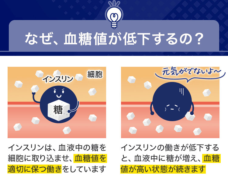 なぜ血糖値が低下するの?