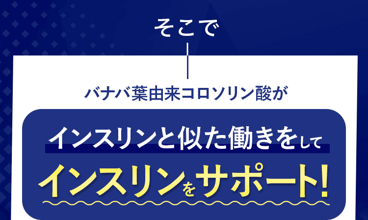 インスリンをサポート