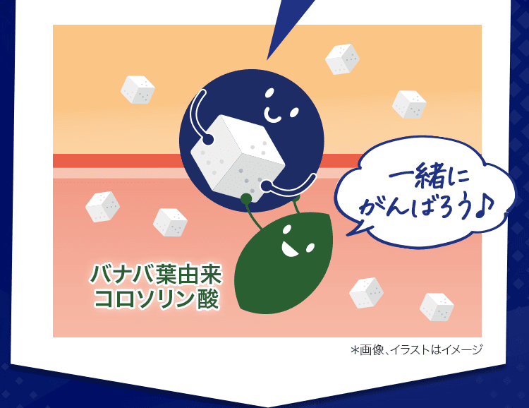 イラスト