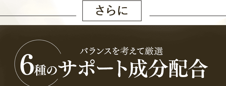サポート成分配合