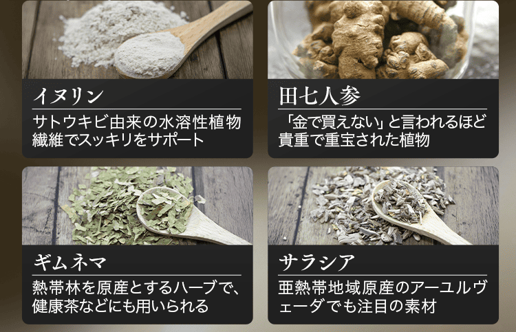 サポート成分1