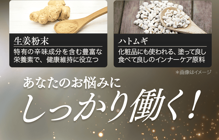 サポート成分2