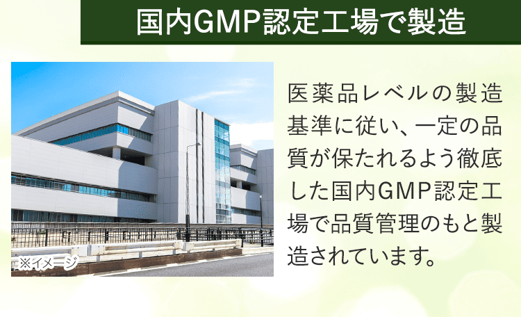GMP工場