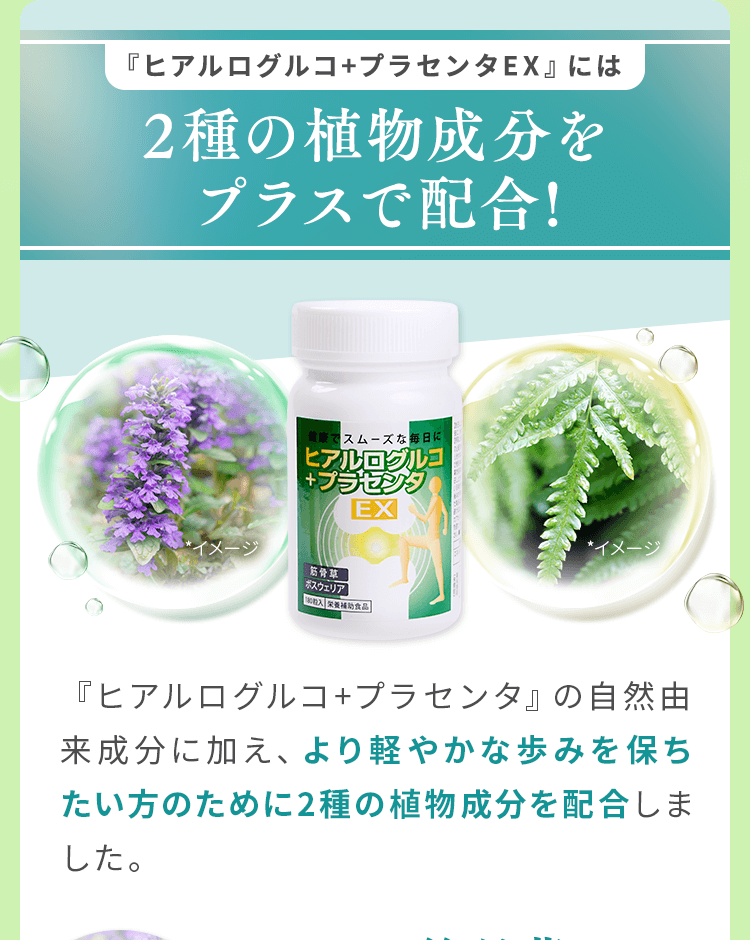 2種の植物成分をプラスで配合！