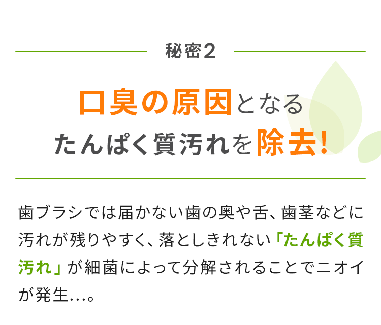 口臭の原因となる