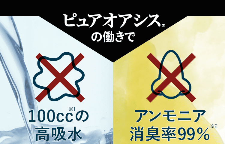 吸収消臭で