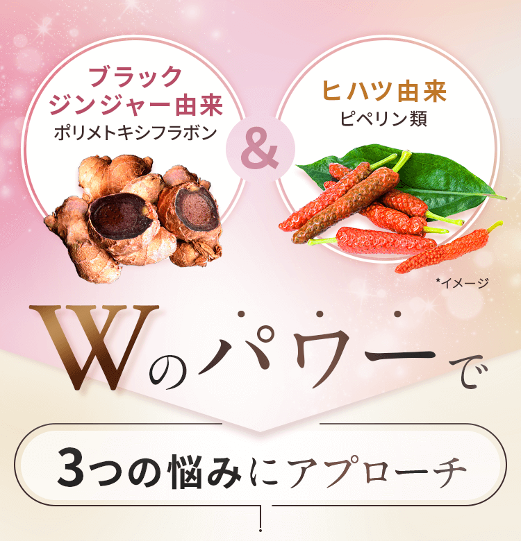 Wのパワーで3つの悩みにアプローチ