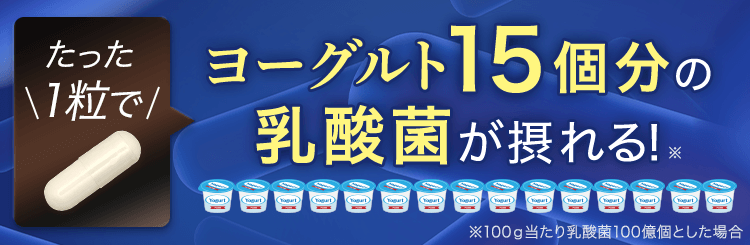 ヨーグルト15個分の乳酸菌