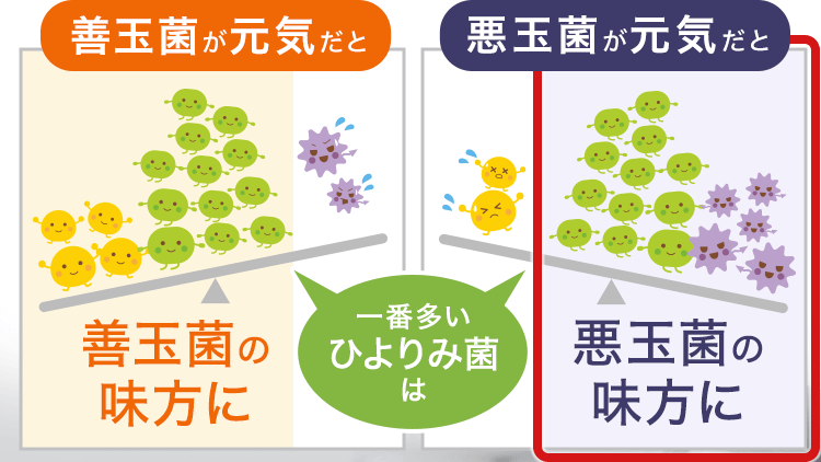 日和見菌は