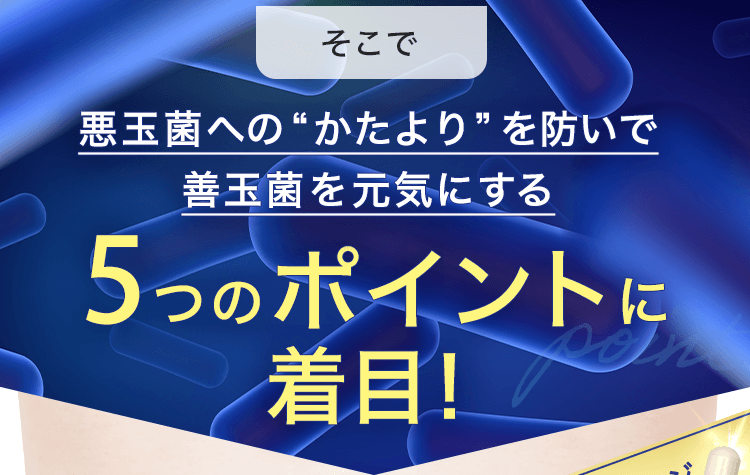 5つのポイントに着目
