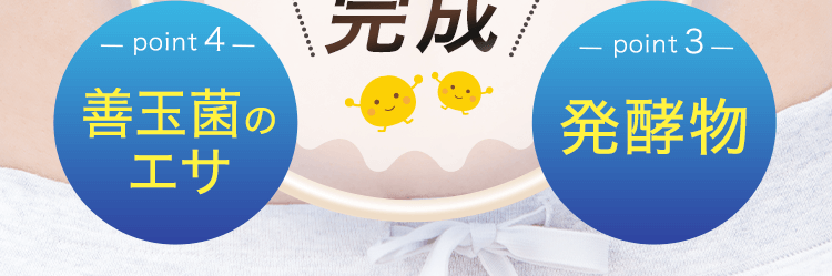 善玉菌が喜ぶフローラサイクル