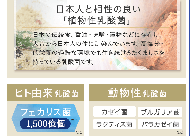 人由来、動物性乳酸菌