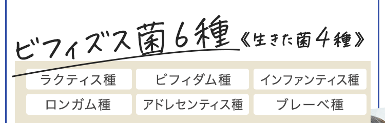 ビフィズス菌6種
