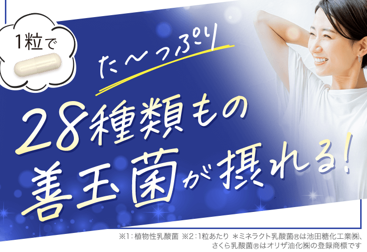 28種類もの善玉菌が摂れる