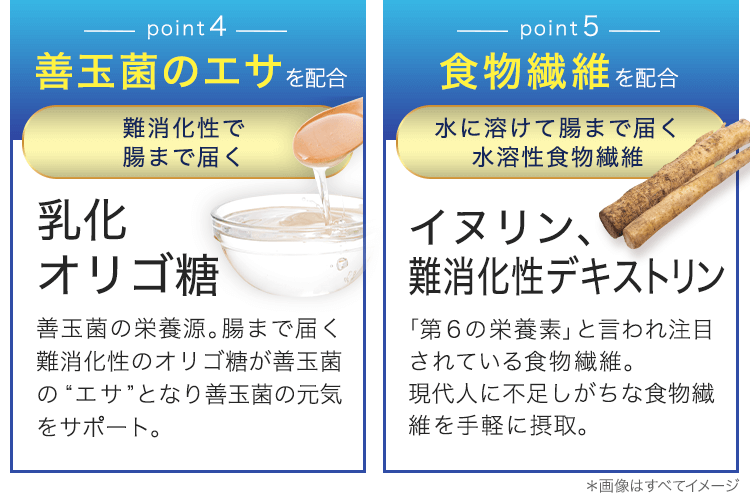 オリゴ糖、食物繊維