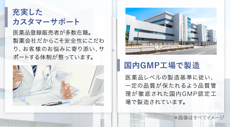 製薬会社、GMP工場