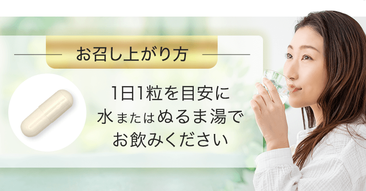お召し上がり方