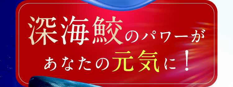 深海鮫のパワーがあなたの元気に！