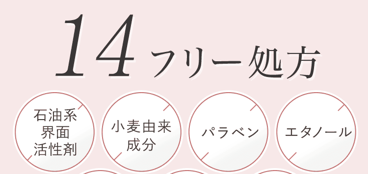 14フリー処方1