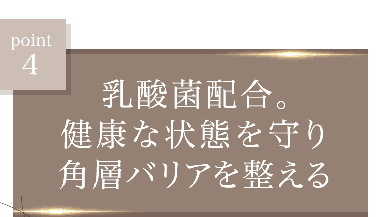 乳酸菌配合