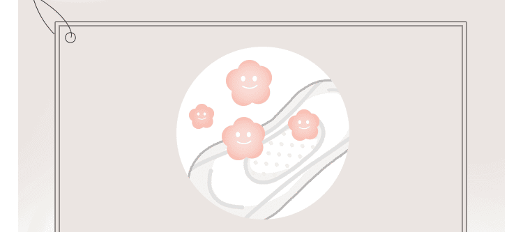 乳酸菌
