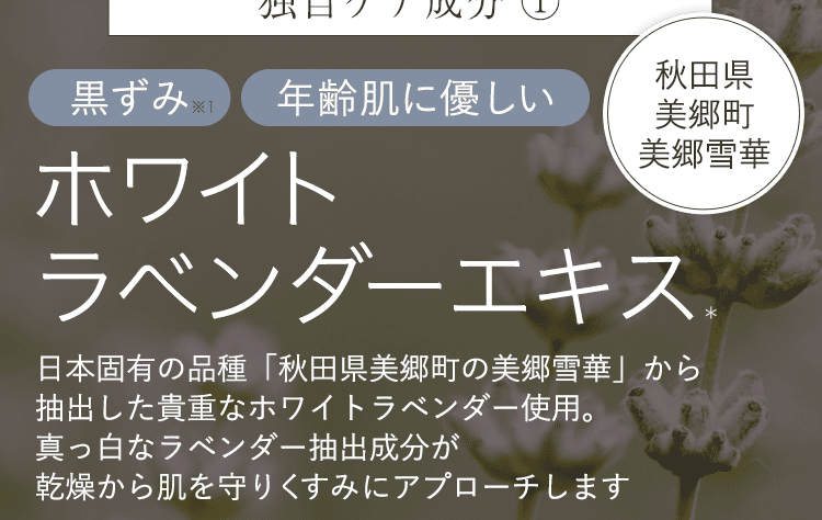 ホワイトラベンダー