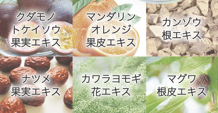 成分6種