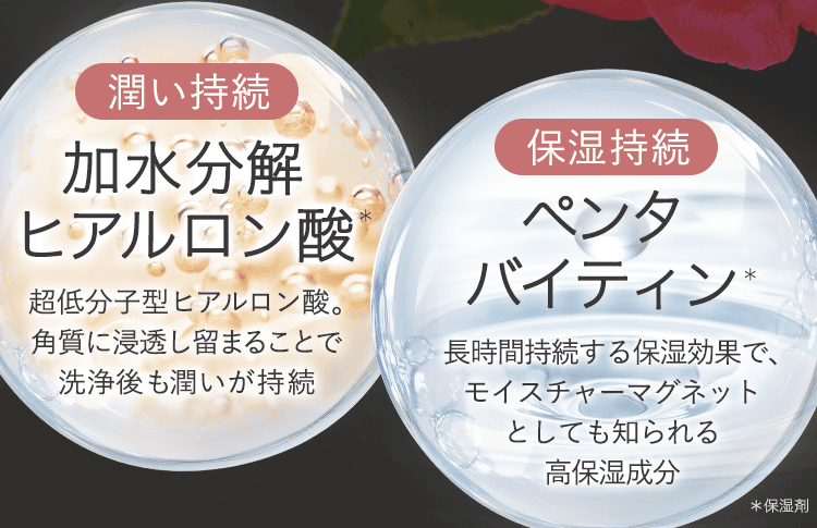 成分2種