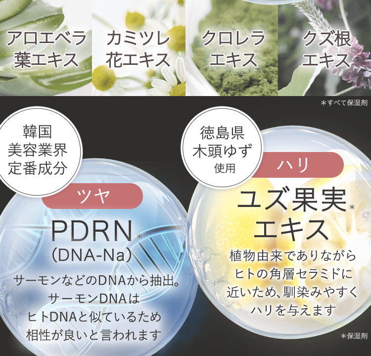 成分6種