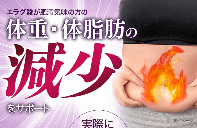 体重・体脂肪の減少をサポート