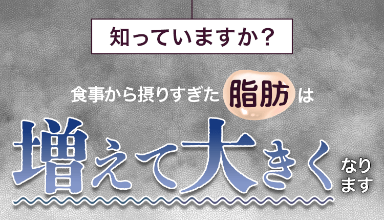 脂肪は増えて大きくなる
