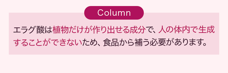 コラム
