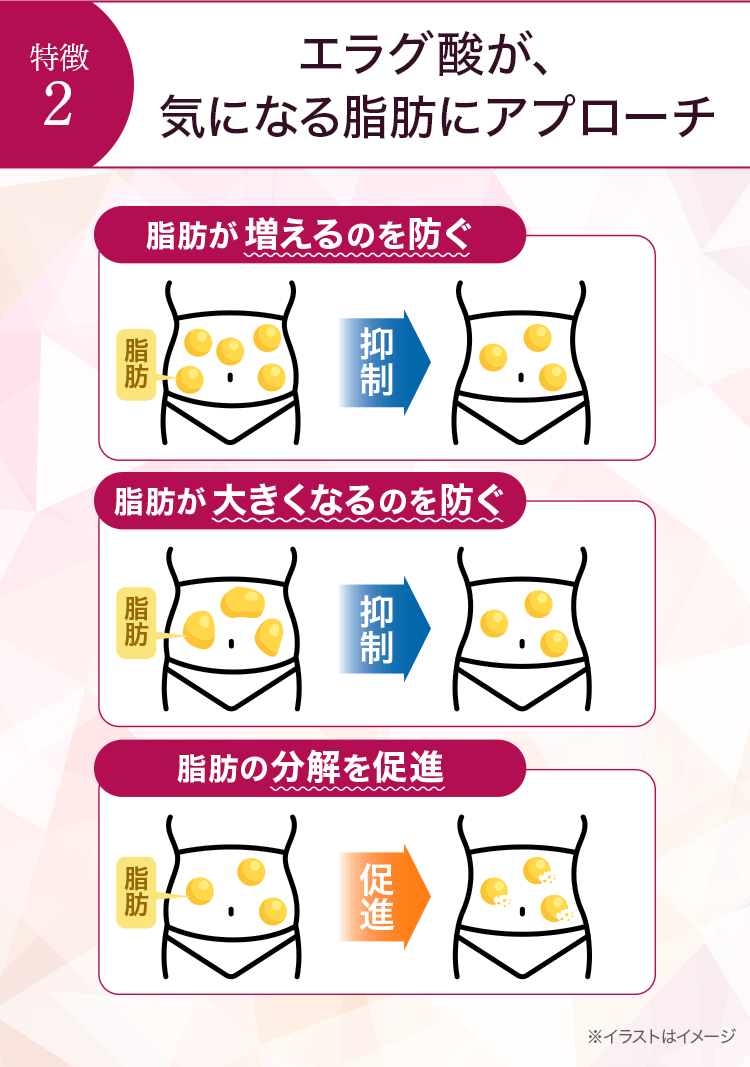特徴2