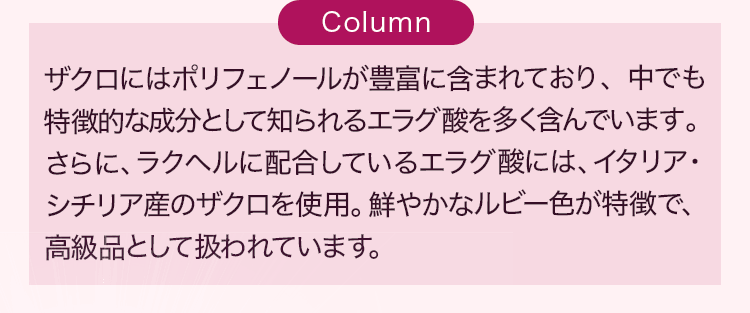 コラム