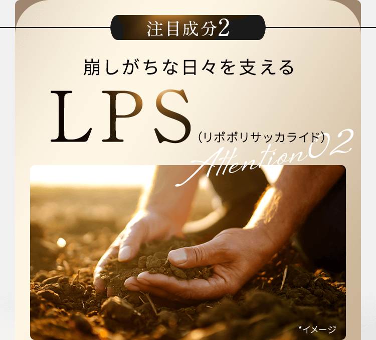 崩しがちな日々を支えるLPS