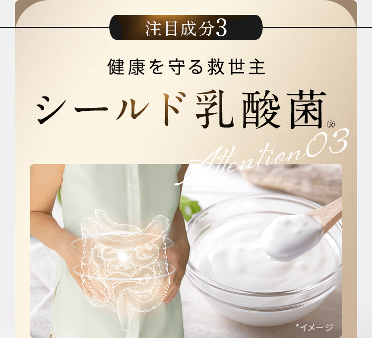 健康を守る救世主シールド乳酸菌