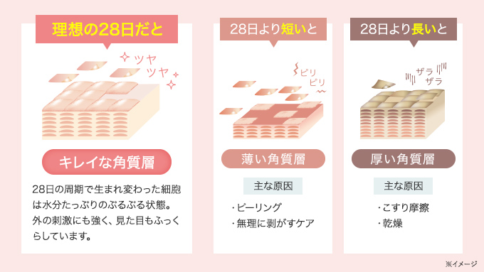 キレイな角質層は水分たっぷりのぷるぷる状態、見た目もふっくら！