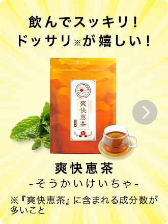 爽快恵茶